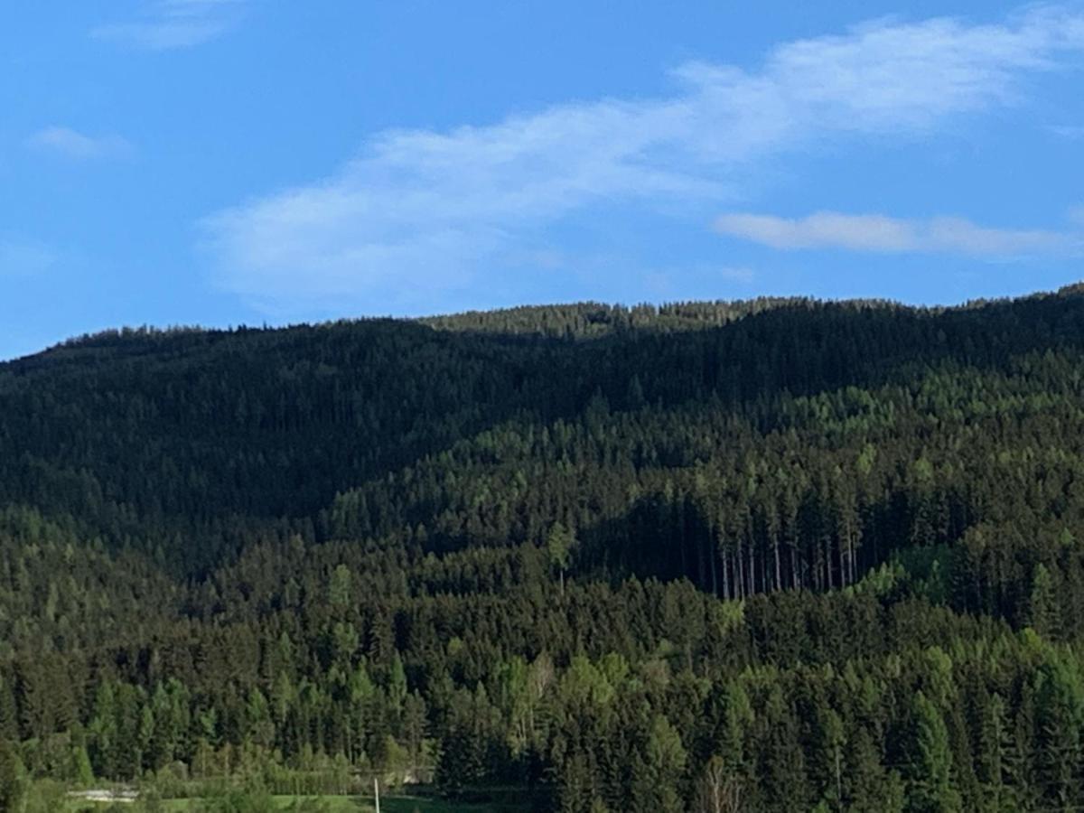 Landgasthof Zur Post 호텔 Mitterdorf im Mürztal 외부 사진